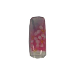 Nail Perfect Transparant Avec 4 Fle