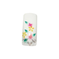 Nail Perfect Blanc Avec 2 Fleurs Ro