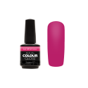 Colour Gloss Trist