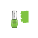 Colour Gloss SHADED NOT JADED