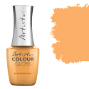 Colour Gloss SUNSHINE TAN LINE