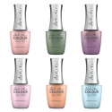 Lucid Blooms Printemps 2024Pack de 6